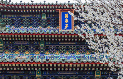 “网红”故宫，没有“冷宫”