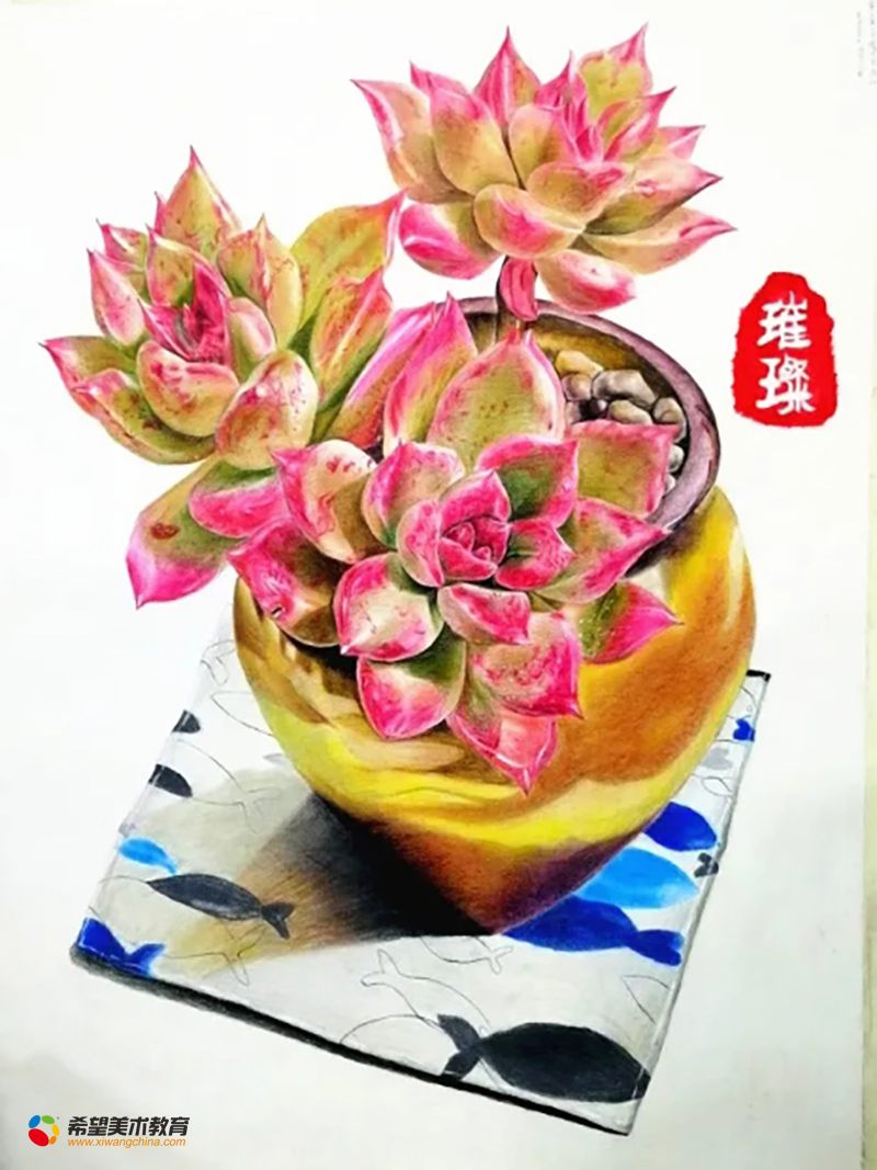 《多肉》
