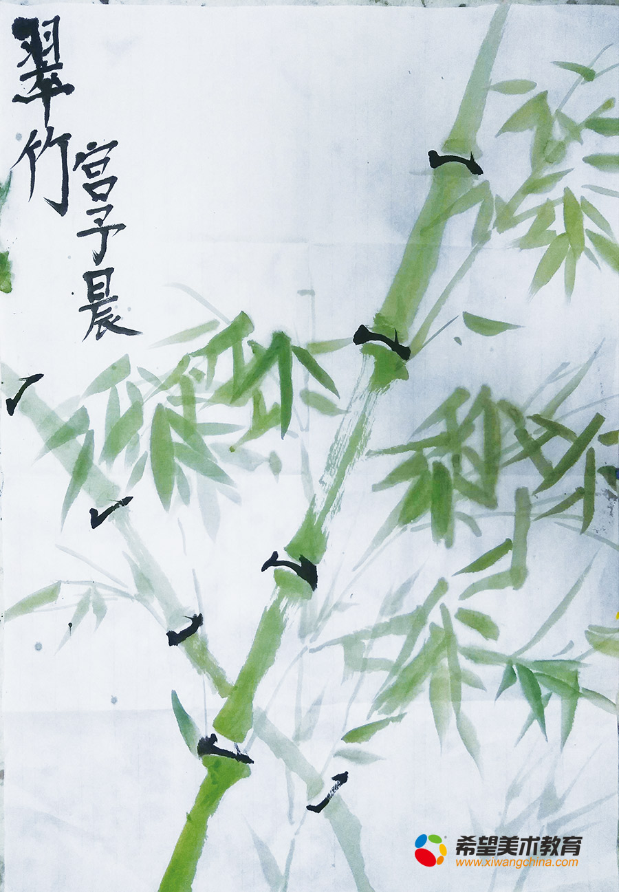 希望美术教育少儿美术作品翠竹
