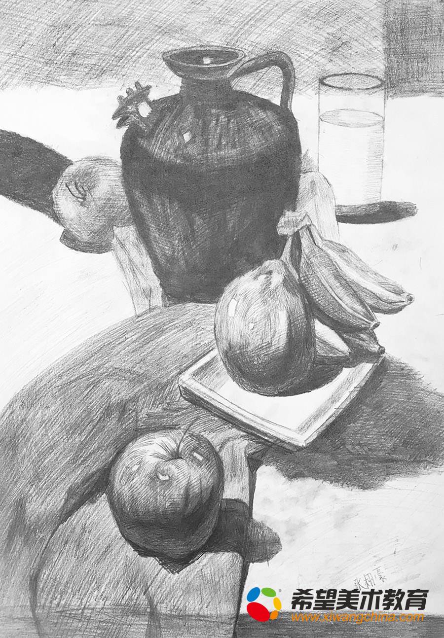 希望美术教育少儿美术作品素描静物
