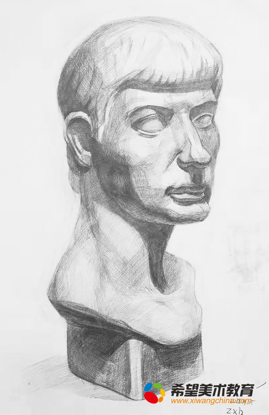 希望美术教育少儿美术作品素描