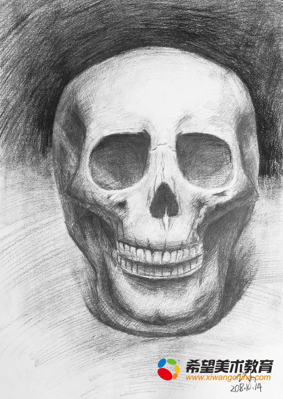 希望美术教育少儿美术作品素描