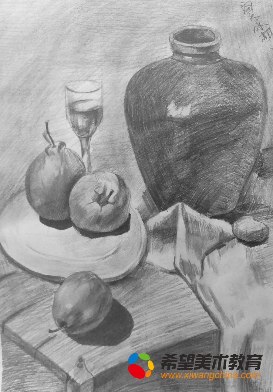 希望美术教育少儿美术作品素描静物
