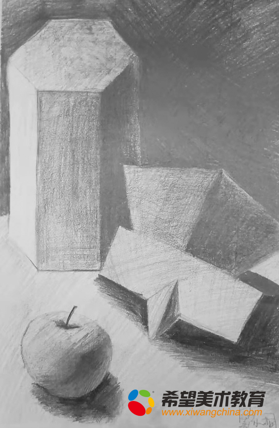 希望美术教育少儿美术作品素描几何