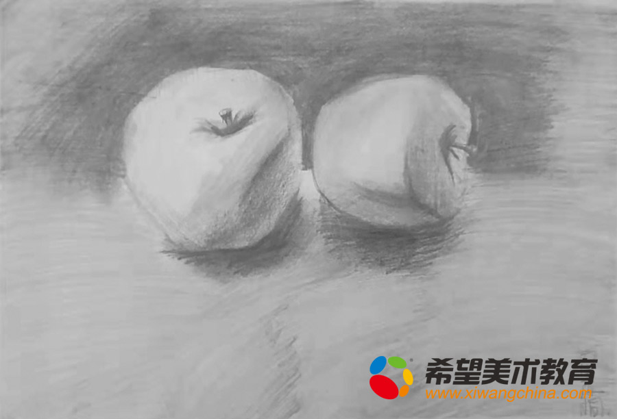 希望美术教育少儿美术作品素描静物
