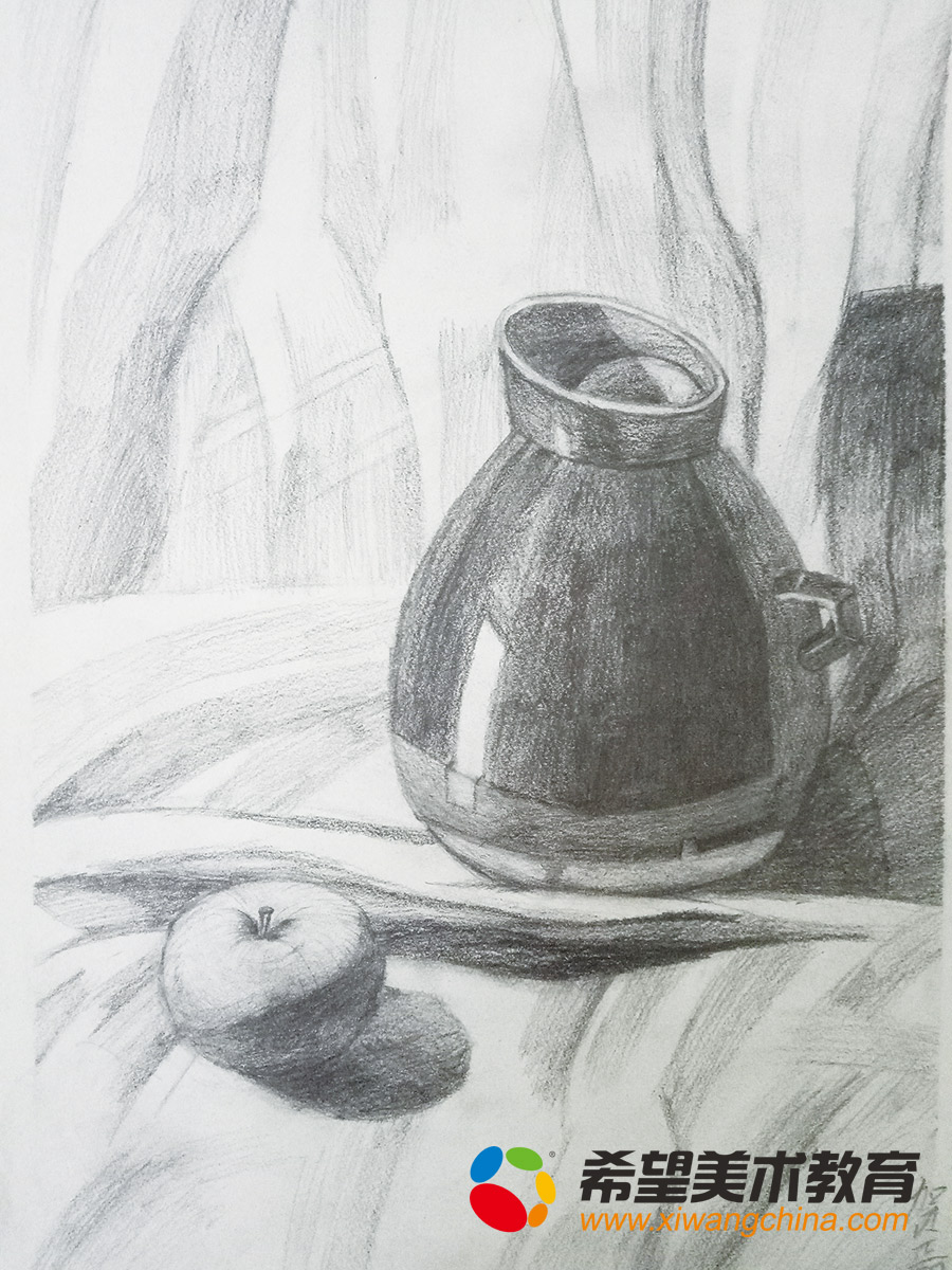 希望美术少儿美术作品素描静物