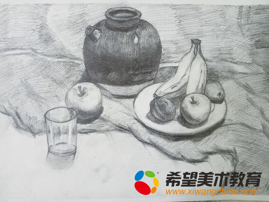 希望美术少儿美术作品素描静物