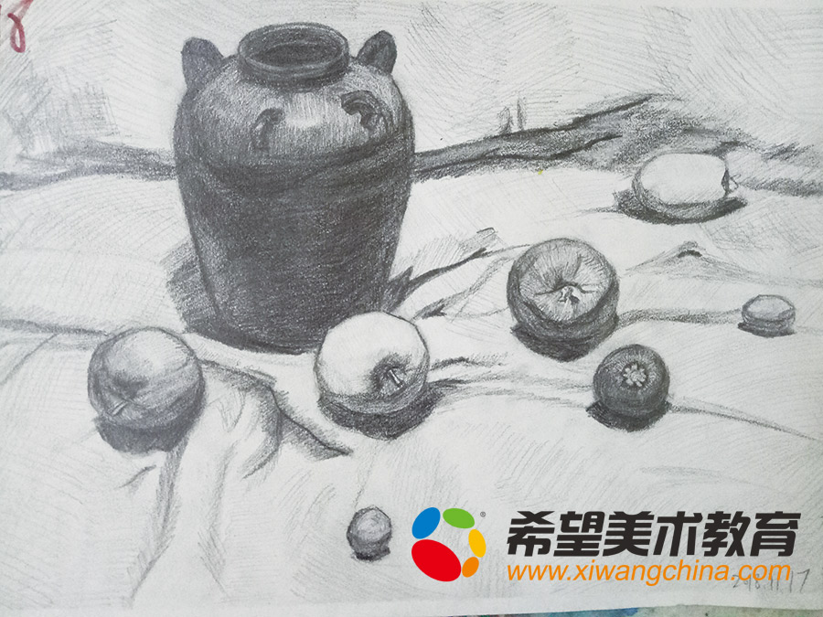 希望美术少儿美术作品素描静物