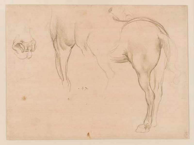 达·芬奇，《马的学习》，约1490年