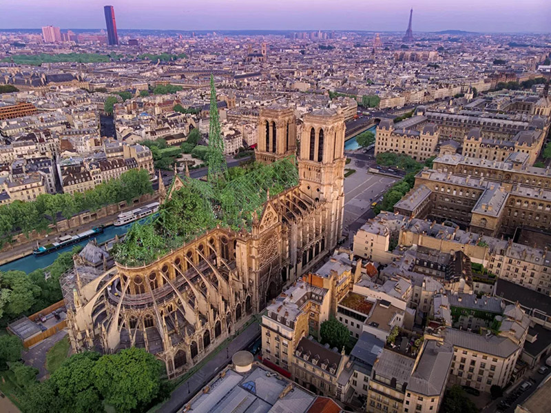 巴黎圣母院“重建”大赛