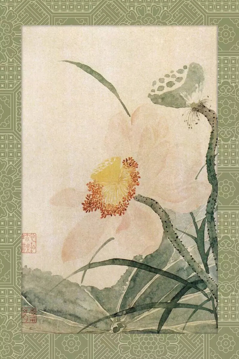 清·恽寿平《花卉图册》