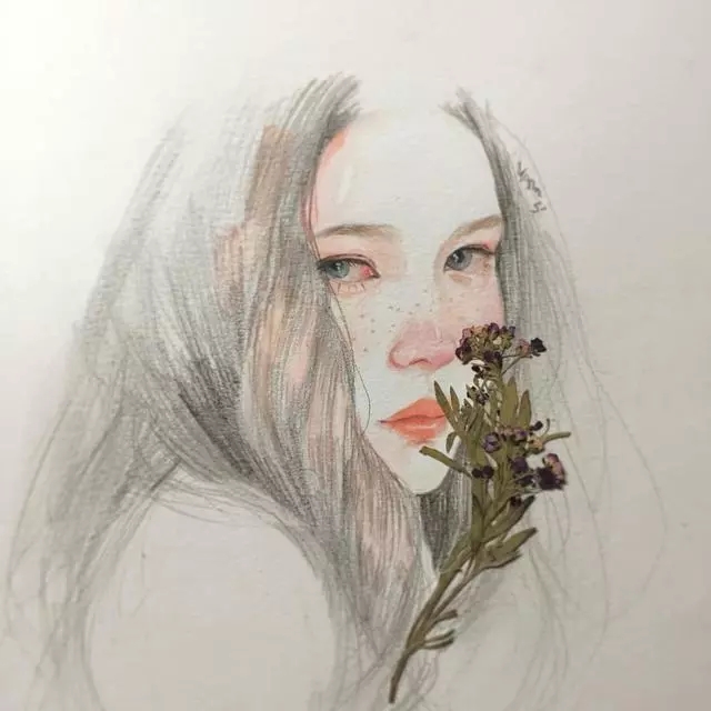 素描插画