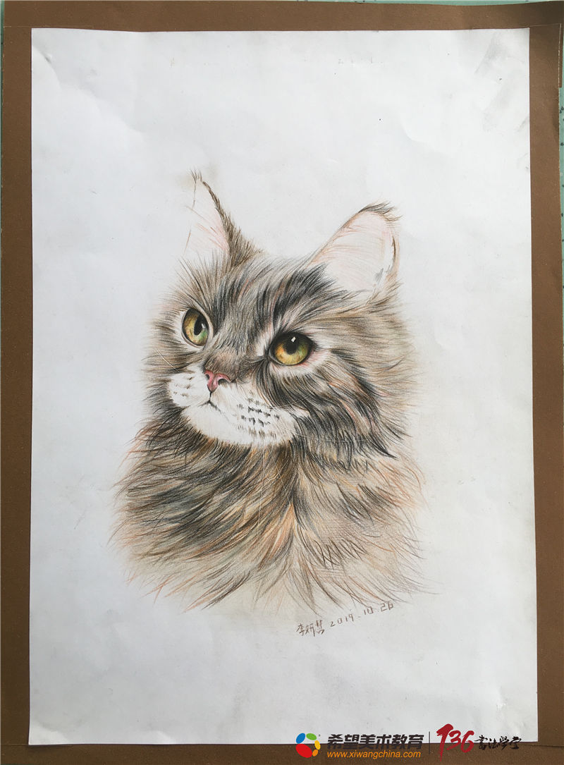 10一15岁画画作品《猫》